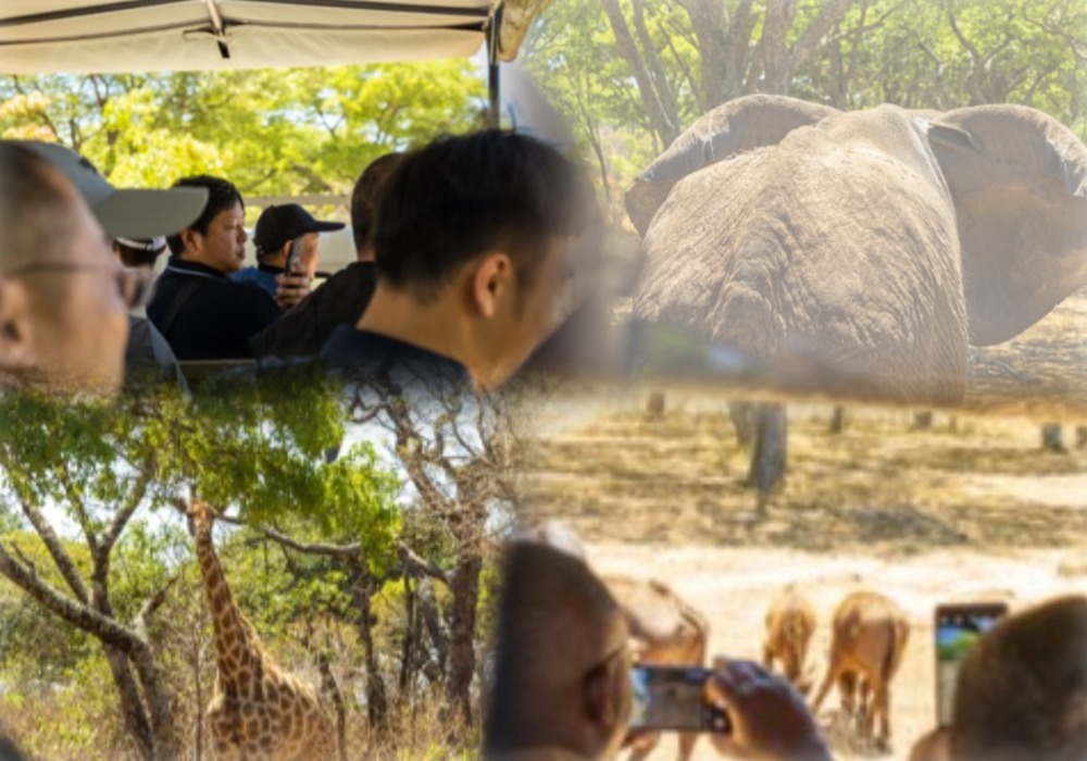 b1-1图片 1 (3).jpg